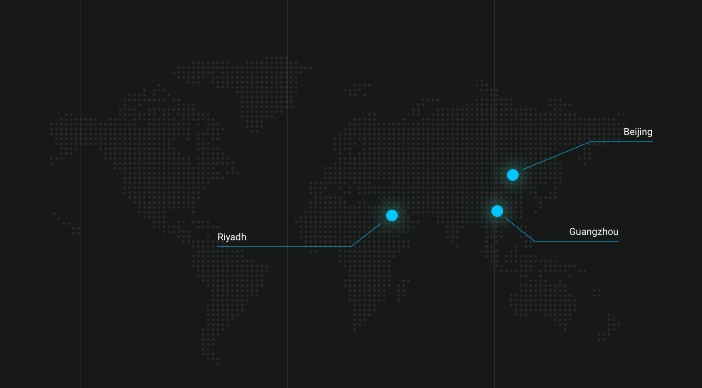 Company global presence map